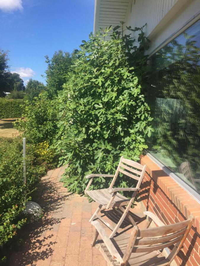 Vaerelse Med Udsigt Over Limfjorden - Rolige Omgivelser Og Adgang Til Flot Have Nykobing Mors Ngoại thất bức ảnh